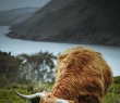 Farming_116