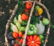 Farming_121