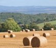 Farming_126